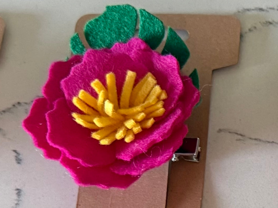 Hibiscus
