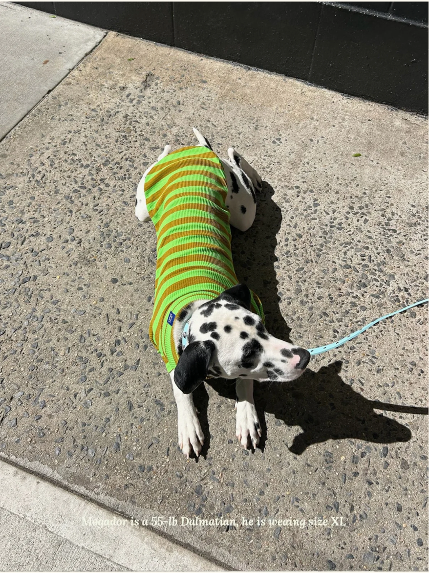 Fresh Grass Striped Shirt