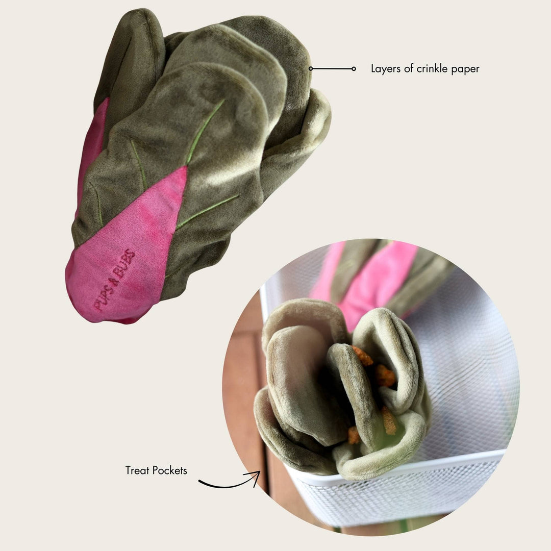 Snuffle Swiss Chard