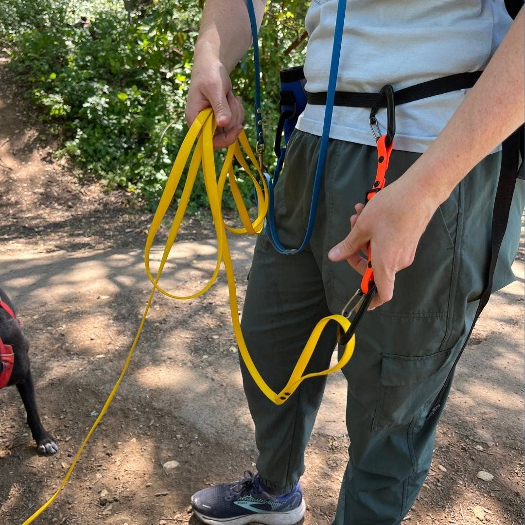 BioThane Waist to Leash Strap