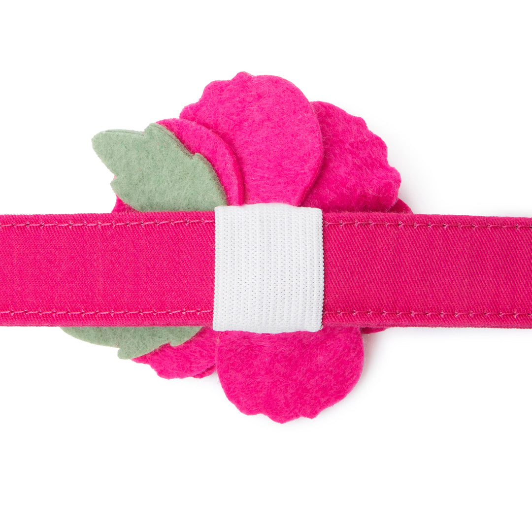Peony Spring Dog Collar Flower Attachment