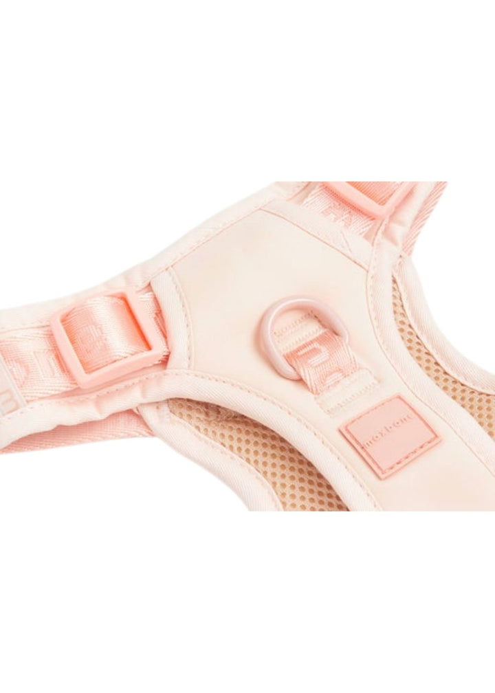 Harness Easy Fit for Dogs