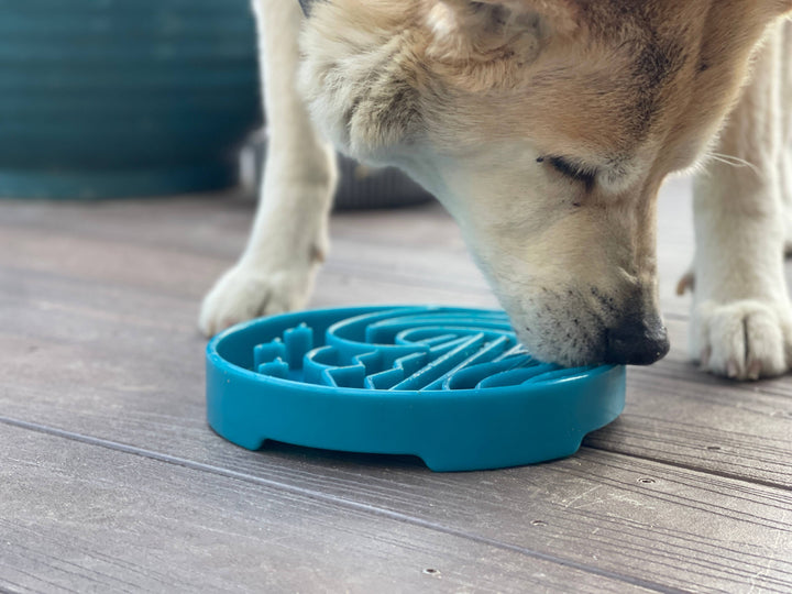Baja Design eTray Shallow Slow Feeder Bowl