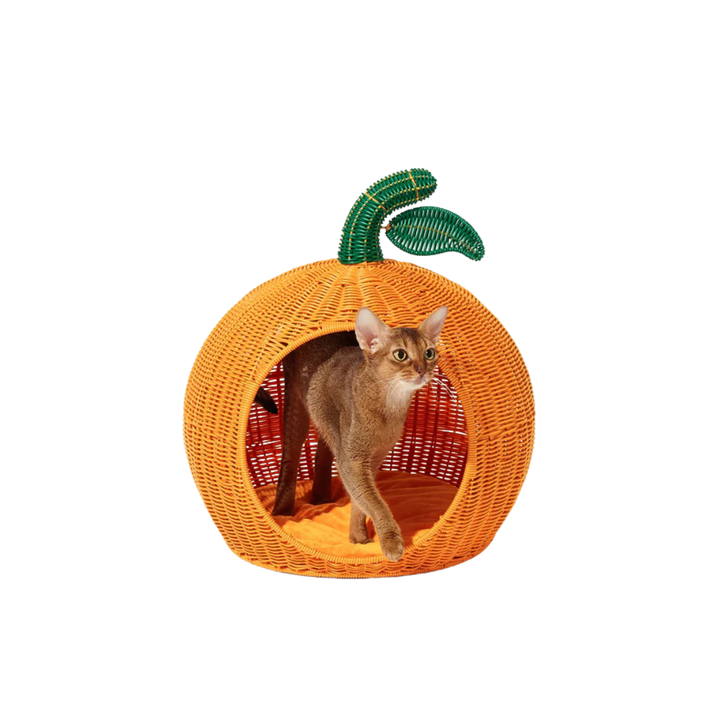Tangerine Rattan Pet Bed