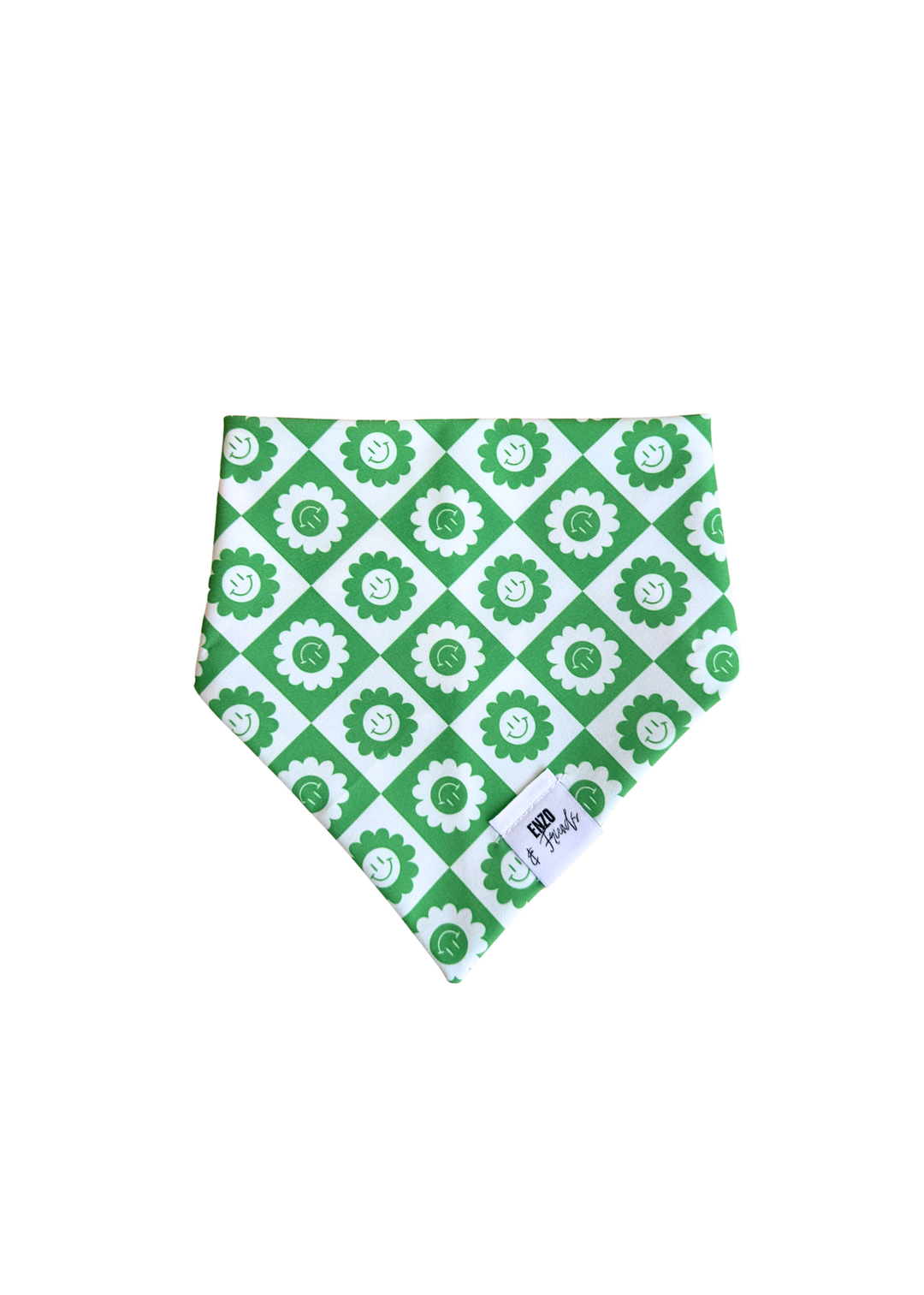 Enzo Green Happy Face + Multicolor Luxe Bandana