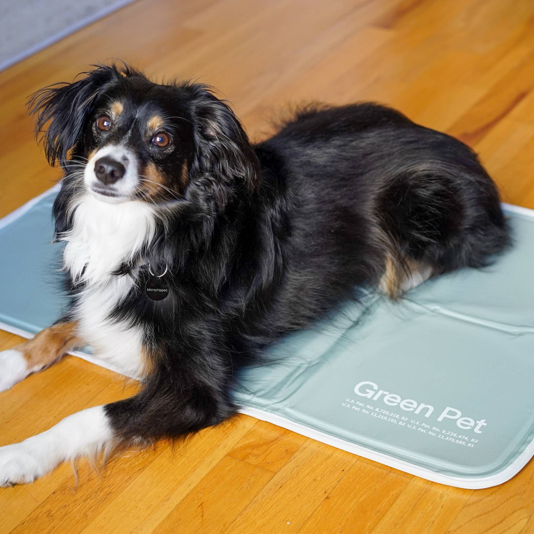 Cool Pet Pad