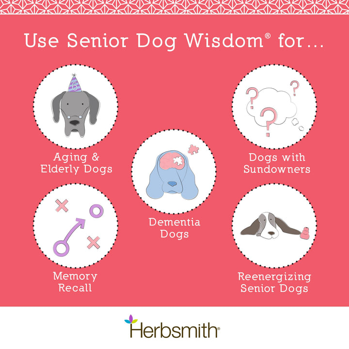 Senior Dog Wisdom - Cognitive Support for Aging Dogs