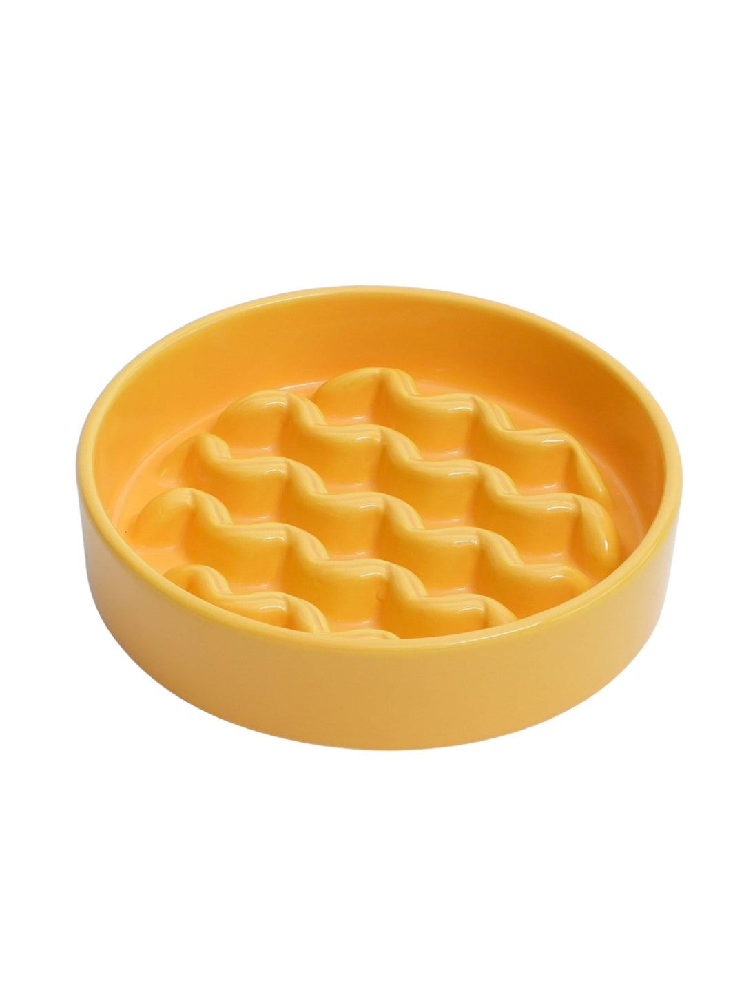 Macaroni Slow Feeder Dog Bowls