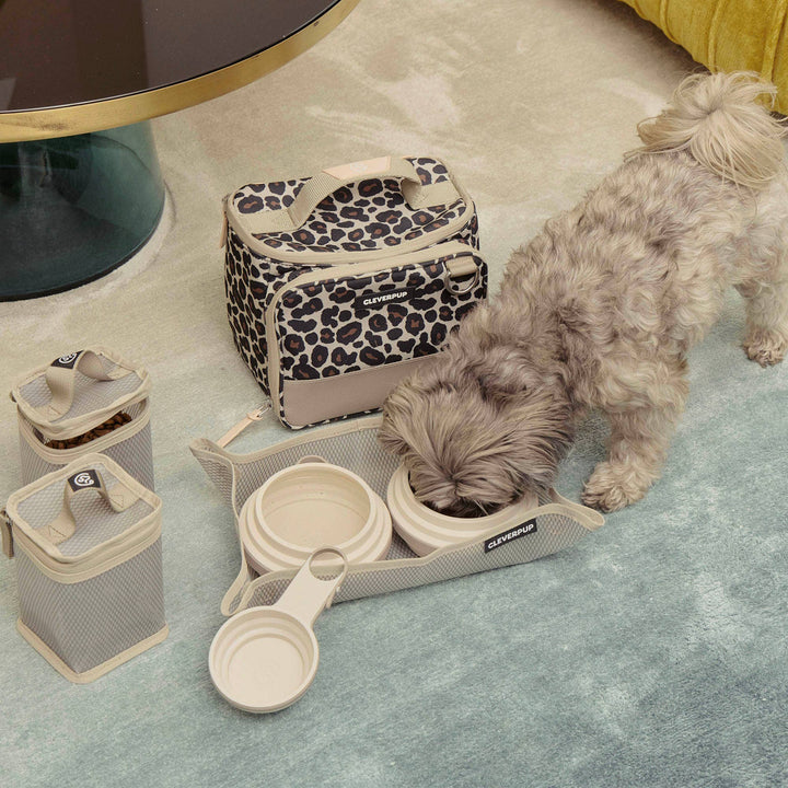 Bistro Box Dog Food Travel Kit