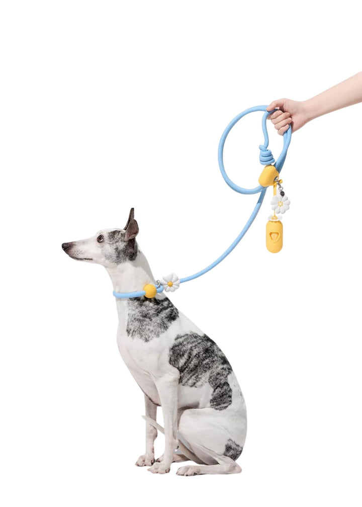 Daisy Connect Hands-Free Rope Leash