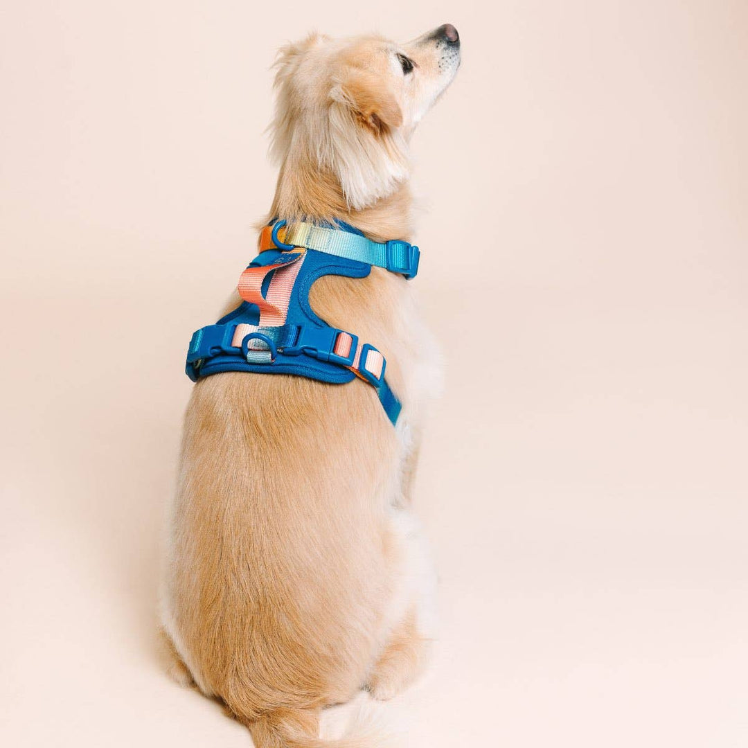 Atlas Blue No Pull Harness