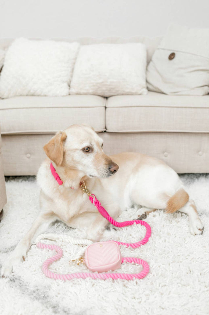 Kylie Pink Vegan Leather Poop Bag Dispenser &amp; Treat Pouch