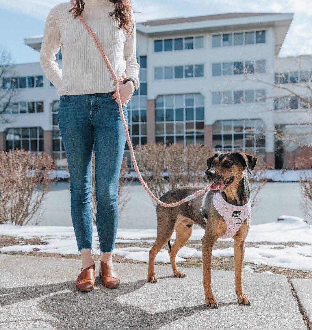 Hands Free Rope Leash Rose All Day