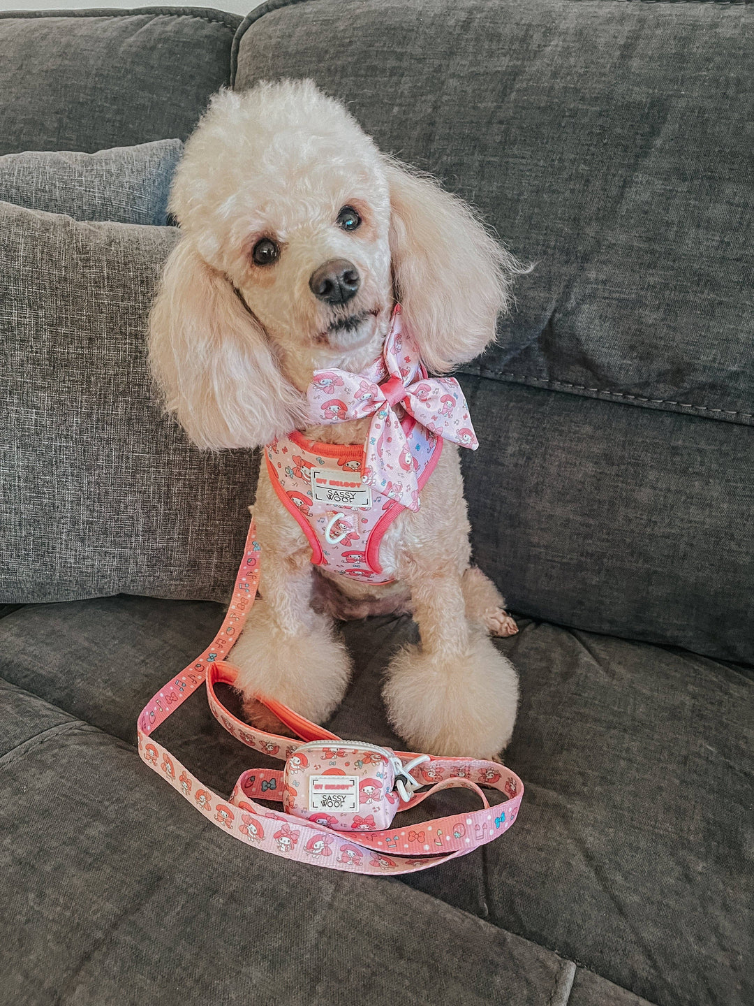 My Melody™ Dog Leash