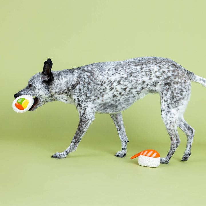 SOYMATES 2PC LATEX DOG TOYS