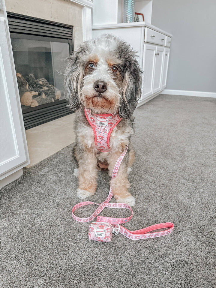 My Melody™ Dog Leash