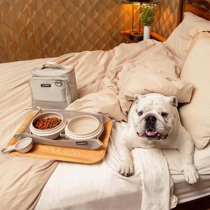Bistro Box Dog Food Travel Kit