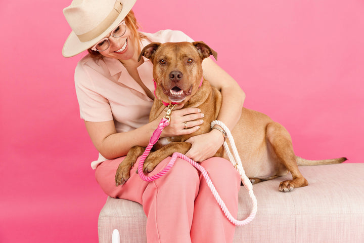 Maggie Pink Ombre Rope Dog Leash