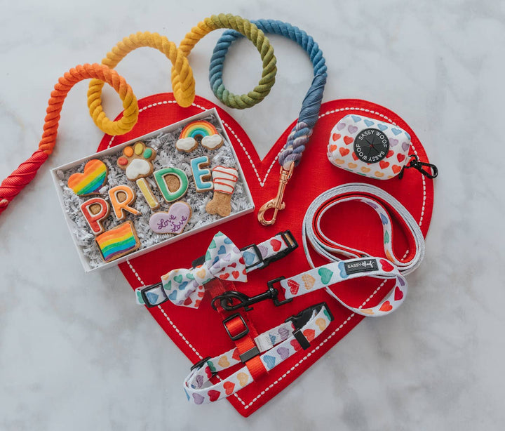Rope Leash - Taste the Rainbow