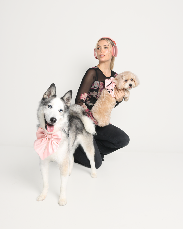 Wander! Collar Bow Blossom