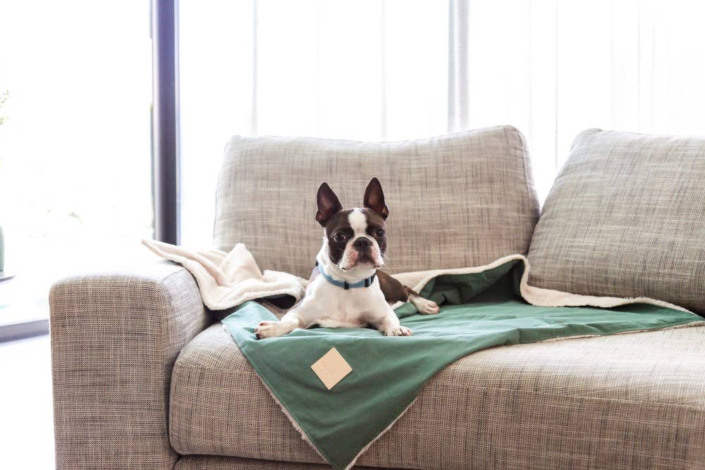Life Pet Blanket, Sandstone S