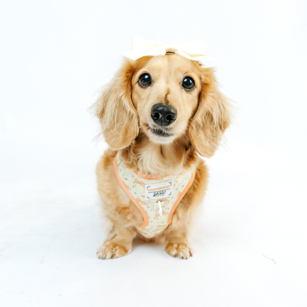 Pompompurin™ Adjustable Harness