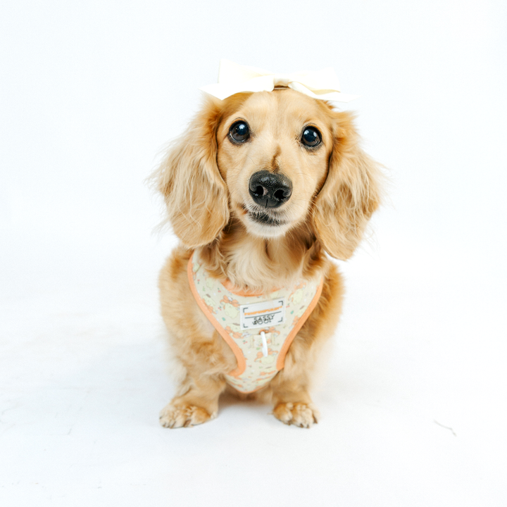 Pompompurin™ Adjustable Harness