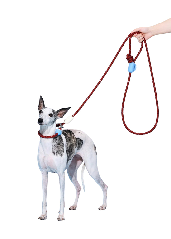 Mist &amp; Merlot Connect Hands-Free Rope Leash