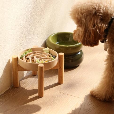 Spark Slow Feeder Dog Bowls - Red / Green