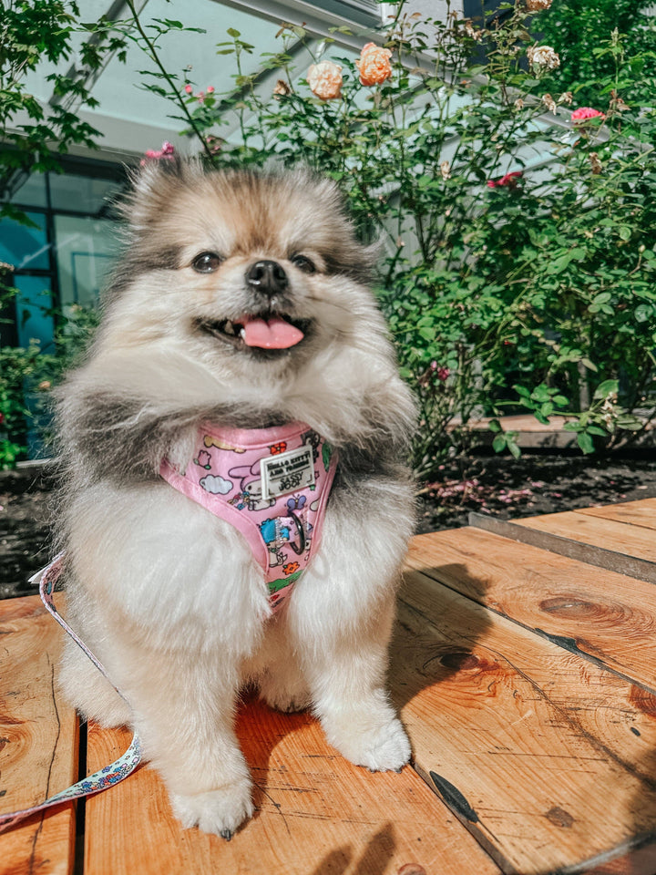 Hello Kitty® &amp; Friends Flower Festival - Adjustable Harness