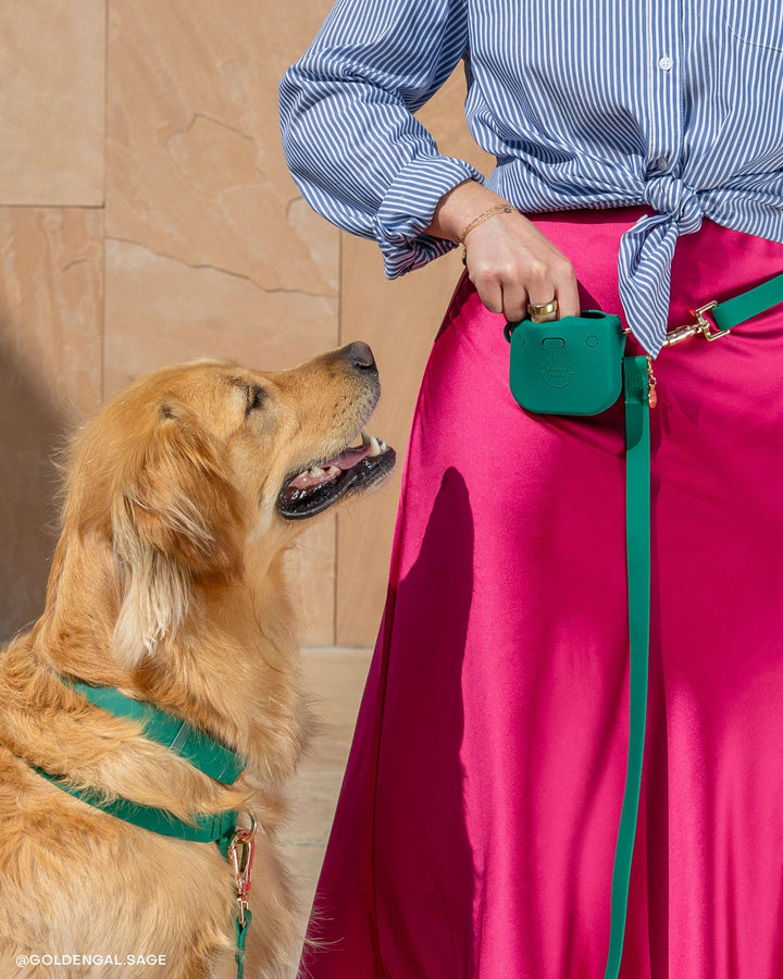 Cherry Red Snap Dog Treat Pouch