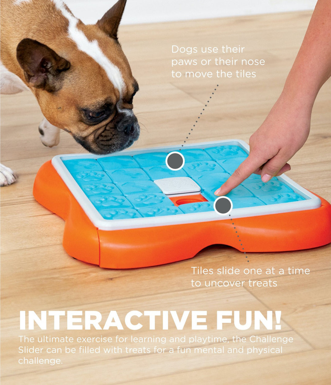 Challenge Slider Interactive Treat Puzzle Dog Toy