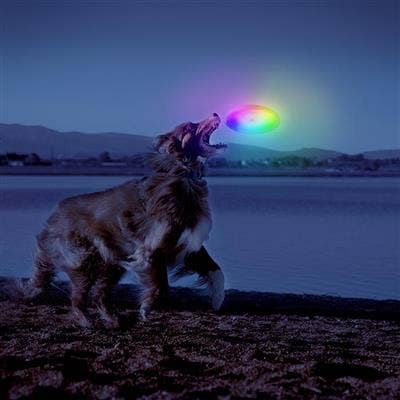 Flashflight Dog Discuit LED Flying Disc - Disc-O
