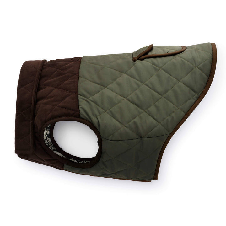 Olive Reversible Dog Jacket