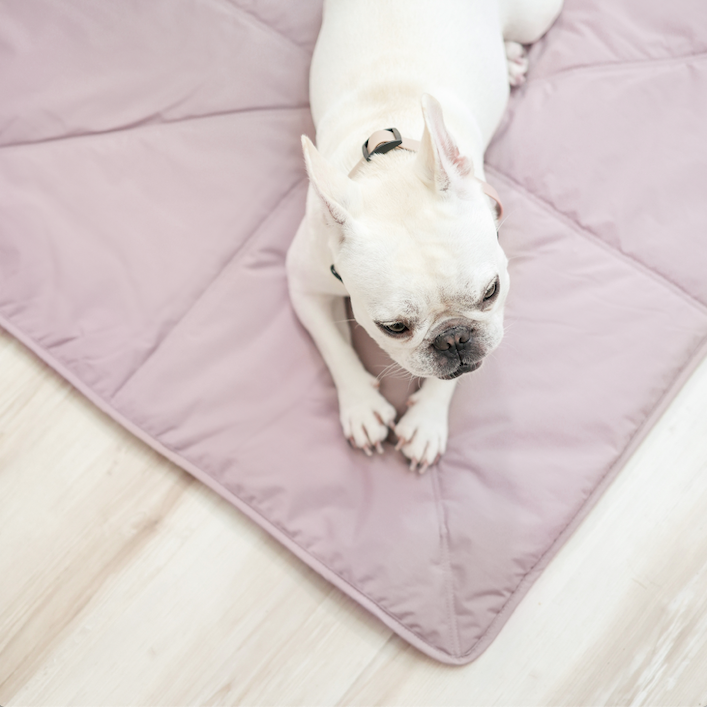 ORII | ultralight pet travel mat DOG MAT