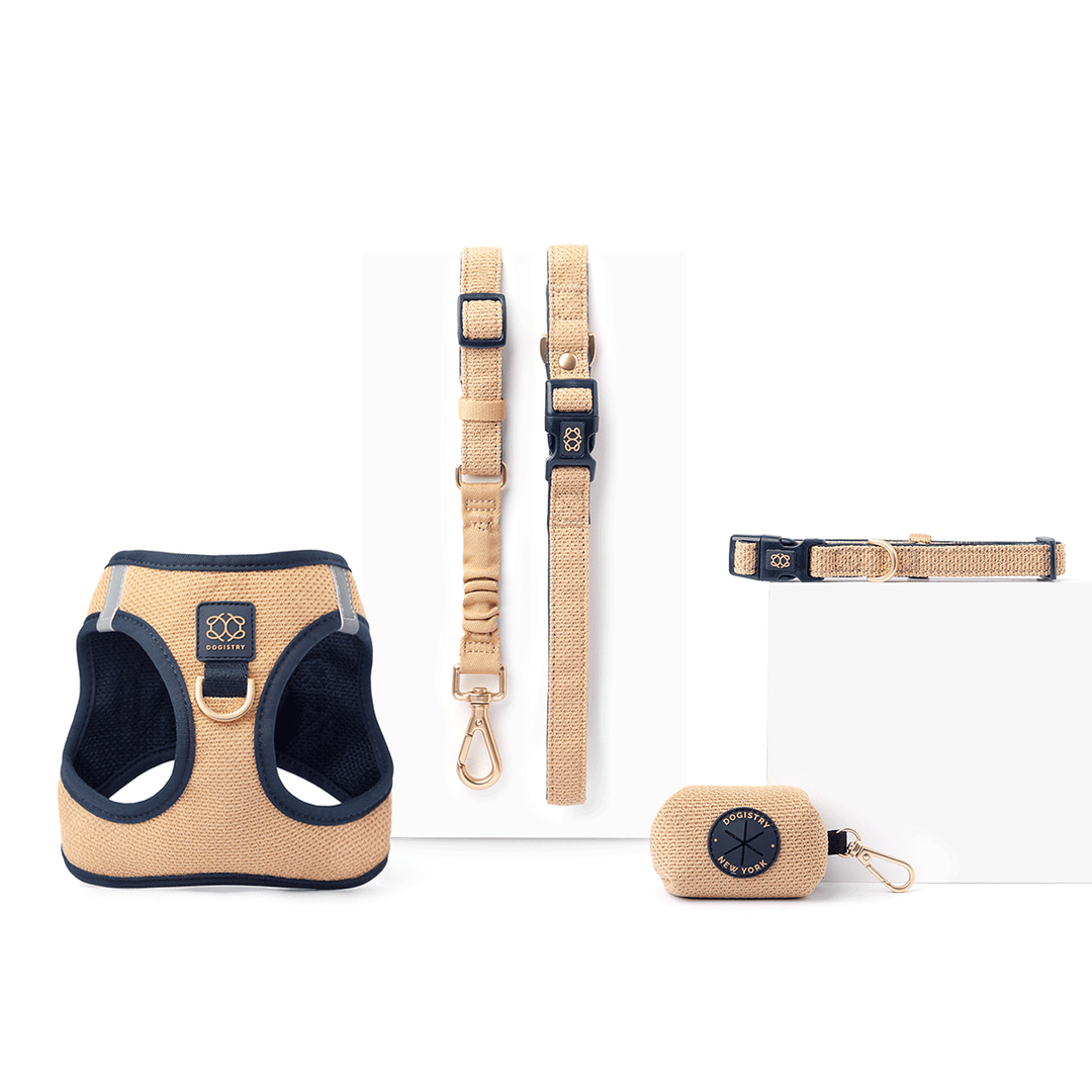 3-in-1 City Dog Leash - Hamptons