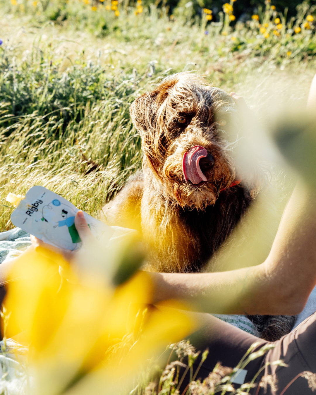 Organic Chicken Squeeze Pouch for Dogs