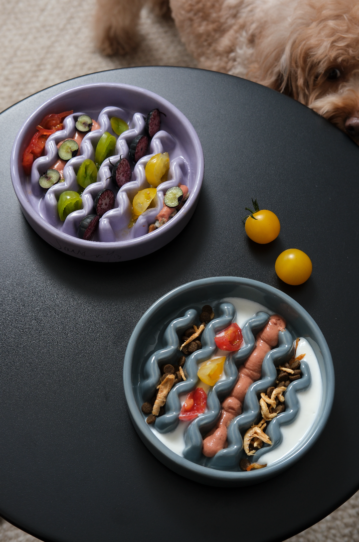Macaroni Slow Feeder Dog Bowls
