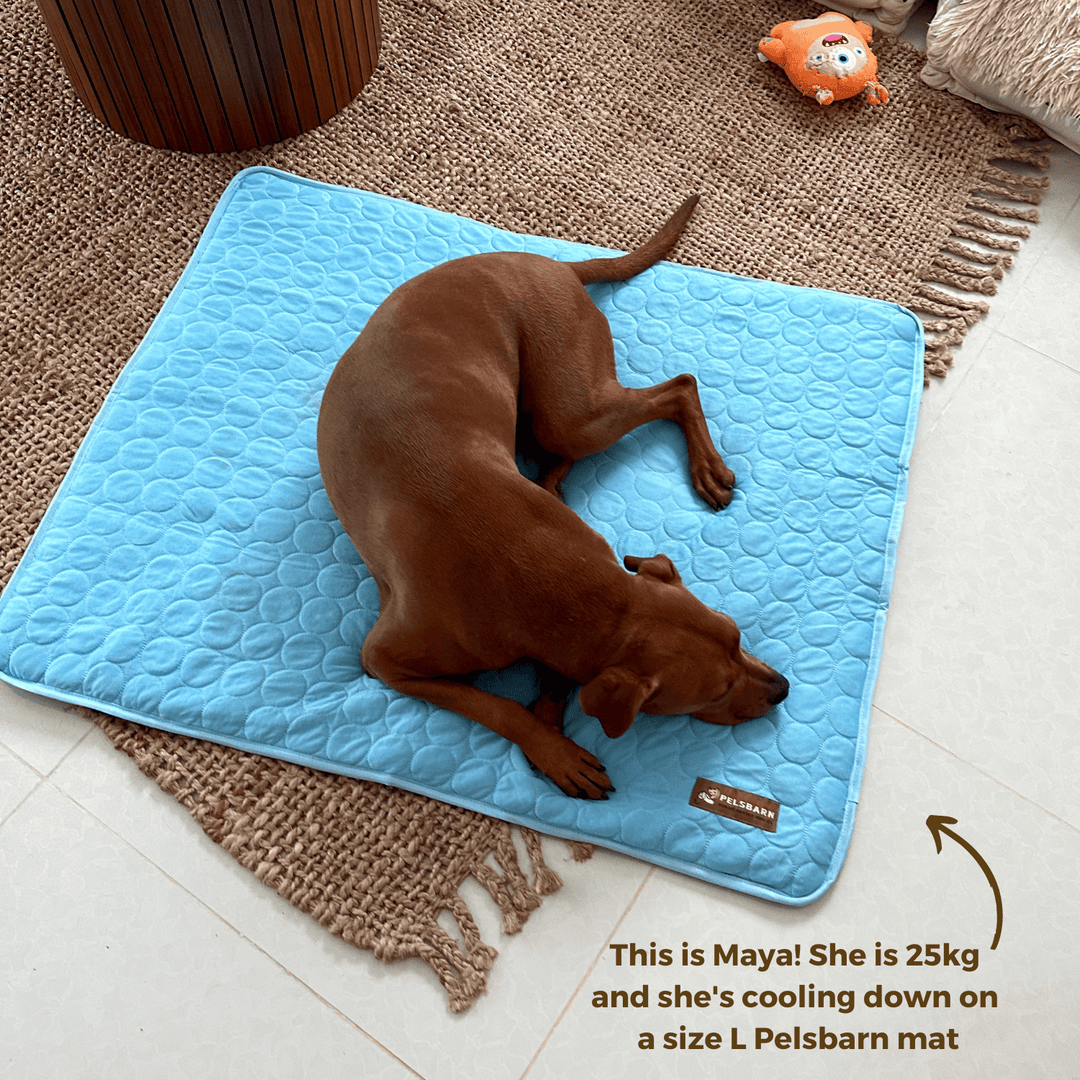 Natural Cooling Mat - Pelsbarn helps shelter dogs!