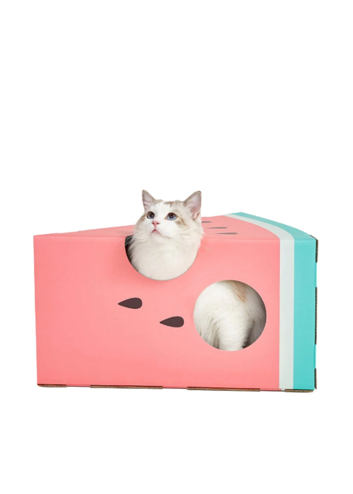 Cat Watermelon Scratching Box