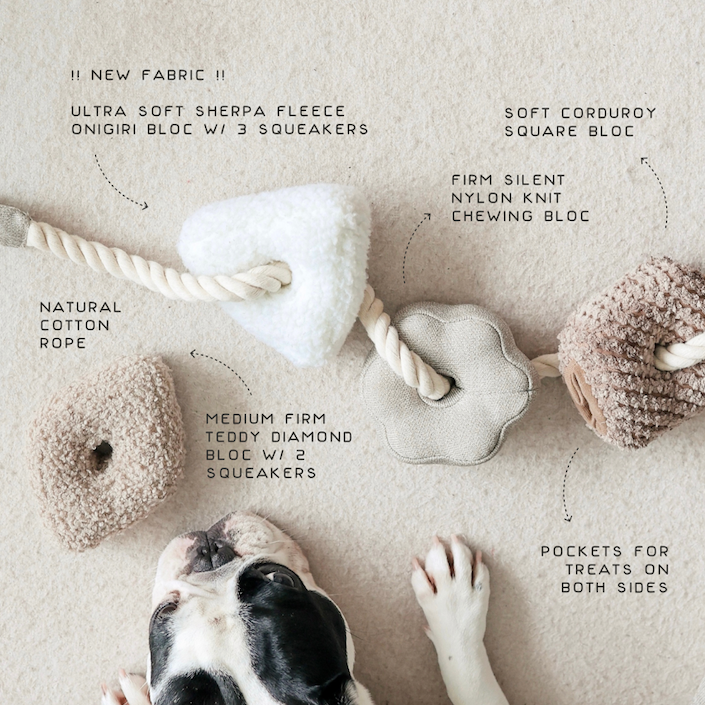 BLOCS Enrichment Dog Toy