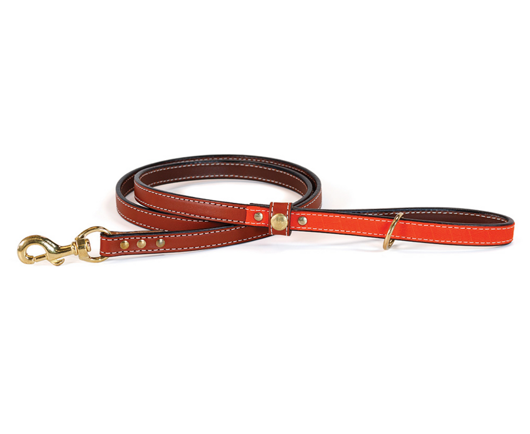 Countryside Leash