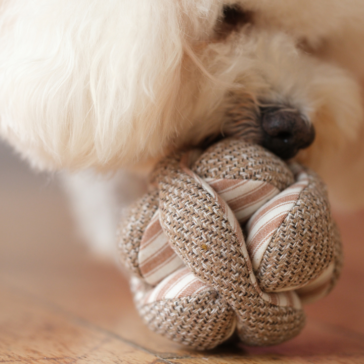 Mini Monti Enrichment Toy