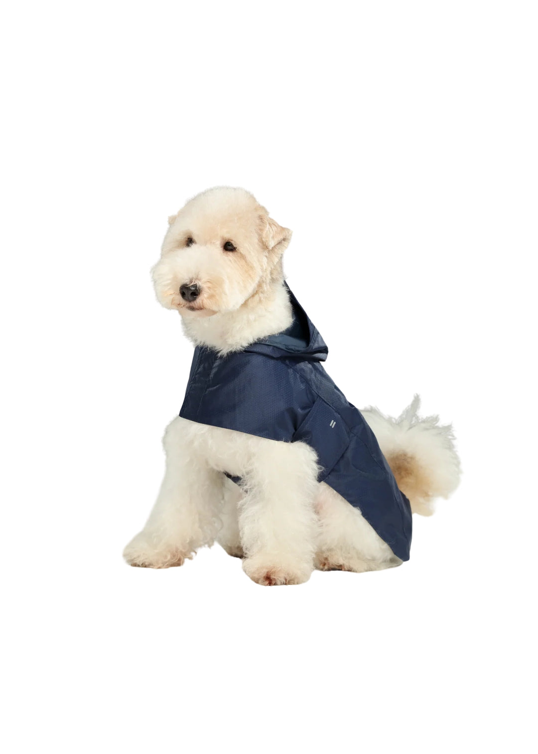 Capsule Raincoat - Blue