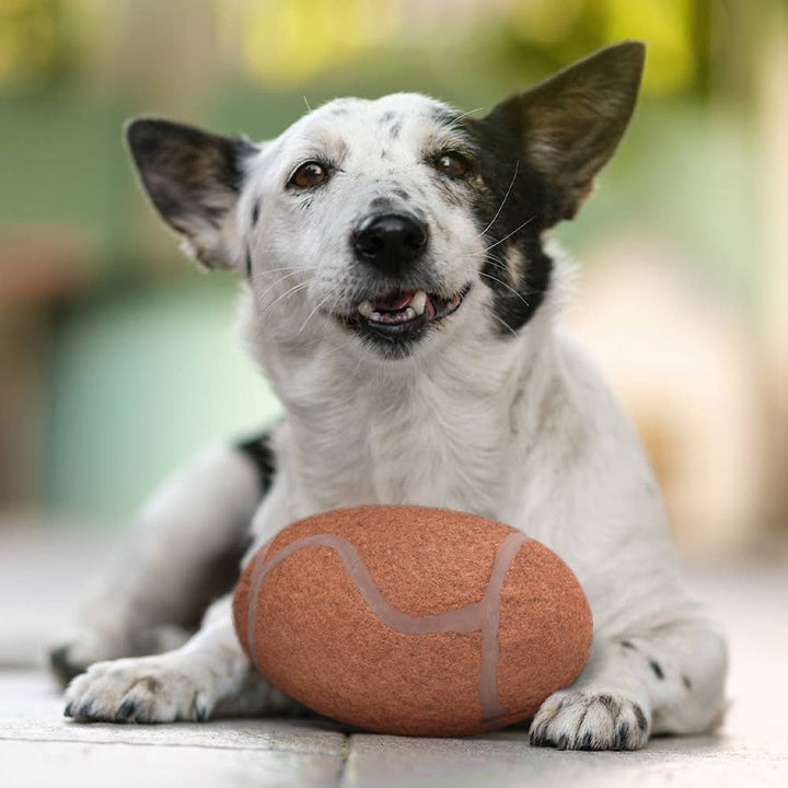 NCAA USC Trojans Tough Chewer Pet Ball