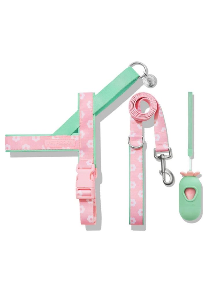 Flora Harness &amp; Leash Set