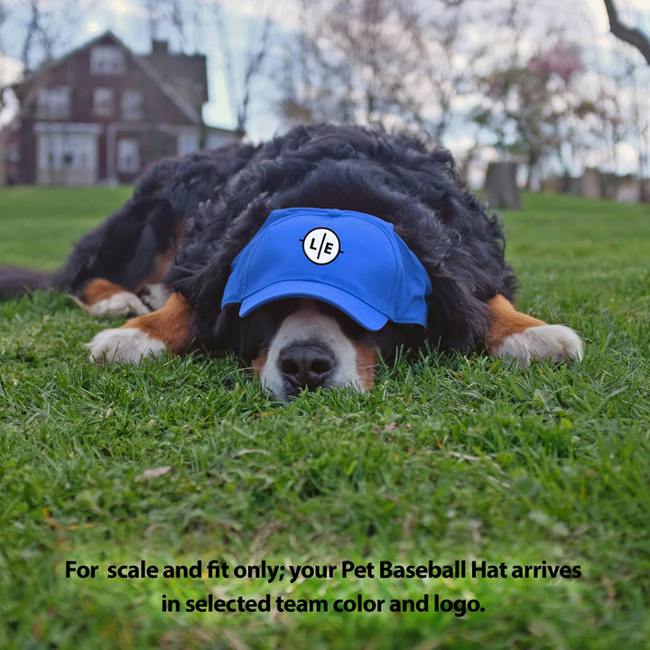 MLB LA Dodgers Pet Baseball Hat