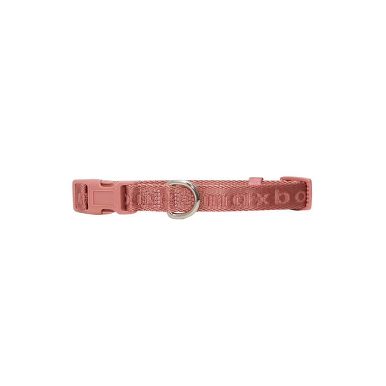 Signature Collar for Dogs