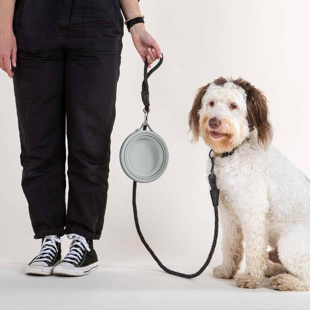Nomad Collapsible Dog Bowl