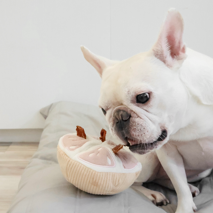 Grapefruit Enrichment Toy Set - Snuffle Toy